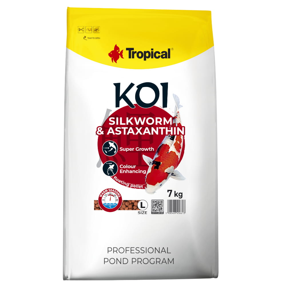KOI silkworm L 7.jpg